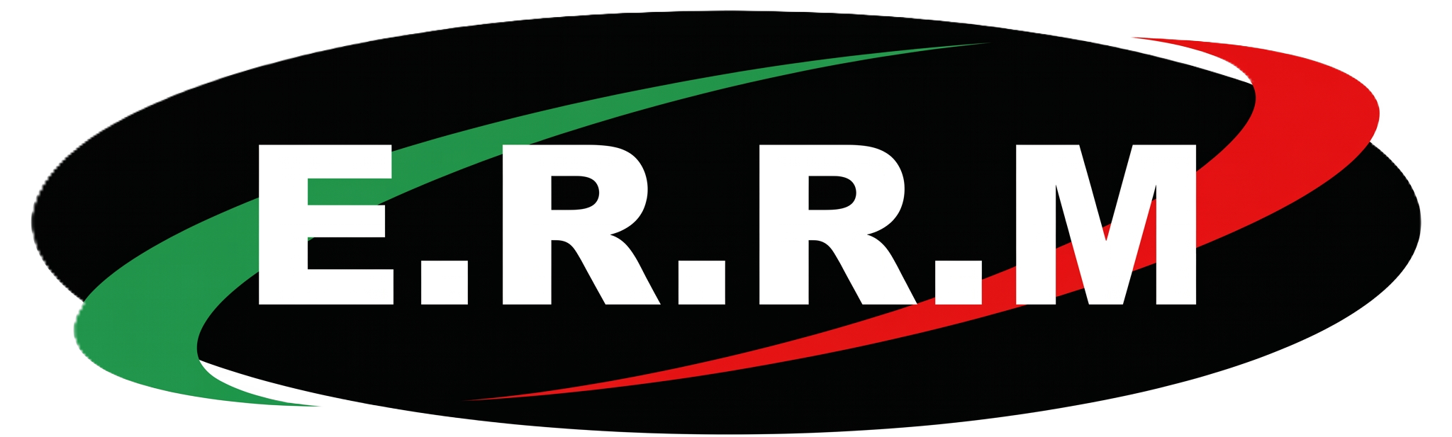 Logo ERRM